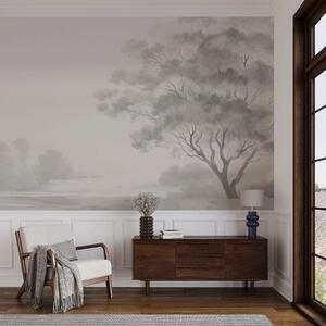 Tapet Copac în ceață, Fototapet Natură, w05477 : Uwalls.ro