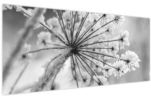 Tablou - Floare în timpul iernii (120x50 cm)