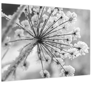 Tablou - Floare în timpul iernii (70x50 cm)