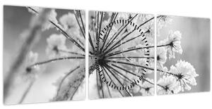 Tablou - Floare în timpul iernii (cu ceas) (90x30 cm)