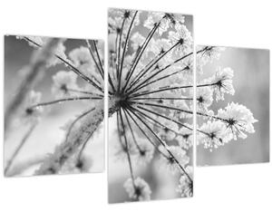 Tablou - Floare în timpul iernii (90x60 cm)