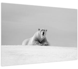 Tablou - Ursul polar (90x60 cm)