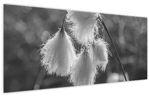 Tablou - Iarba de bumbac (120x50 cm)