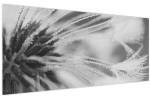 Tablou - Păpădie (120x50 cm)