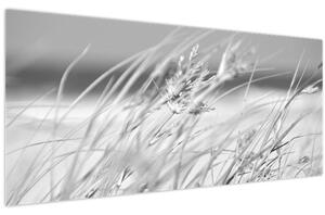 Tablou - Iarbă de plajă (120x50 cm)