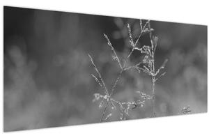 Tablou - Pajiște de țară (120x50 cm)