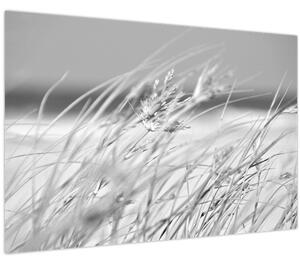 Tablou - Iarbă de plajă (90x60 cm)