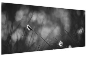 Tablou - Iarbă de pajiște (120x50 cm)