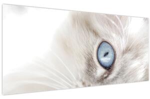 Tablou - Pisica cu ochi albaștri (120x50 cm)