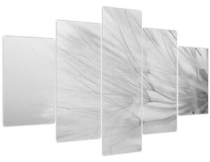 Tablou - Dandelion (150x105 cm)