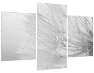 Tablou - Dandelion (90x60 cm)