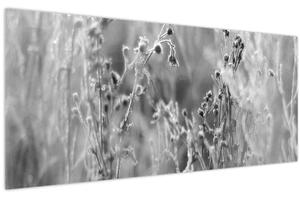 Tablou - Pajiște sălbatică (120x50 cm)