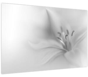 Tablou - Crin delicat (90x60 cm)