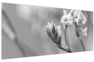 Tablou - Floare înflorită (120x50 cm)