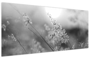 Tablou - Pajiște de toamnă (120x50 cm)