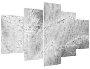 Tablou - Iarbă de pampas N⁰1 (150x105 cm)
