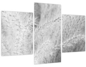 Tablou - Iarbă de pampas N⁰1 (90x60 cm)