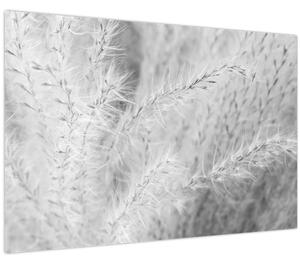 Tablou - Iarbă de pampas N⁰1 (90x60 cm)