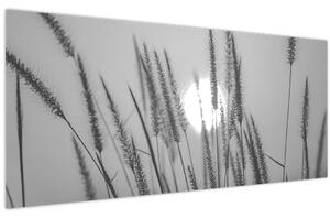 Tablou - Pajiște la apus (120x50 cm)
