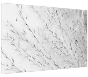 Tablou - Iarbă de pampas N⁰2 (90x60 cm)