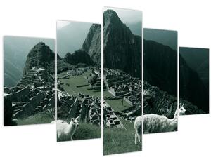 Tablou - Lamas la Machu Picchu în Peru (150x105 cm)