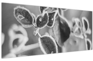 Tablou - Natura în toamnă (120x50 cm)