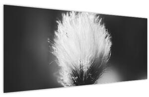 Tablou - Coțofană neagră și albă (120x50 cm)