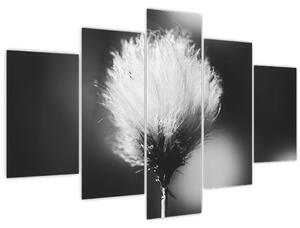 Tablou - Coțofană neagră și albă (150x105 cm)