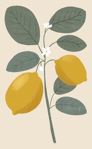 Ilustrație Lemon flower, Katarzyna Gąsiorowska