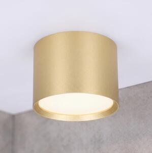 Brilagi - Spot pentru baie SMOOTH 1xGX53/15W/230V auriu IP54