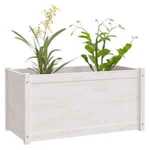 Jardinieră de grădină, alb, 100x50x50 cm, lemn masiv de pin