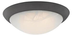 Westinghouse 6308940 - Plafonieră LED reglabilă LED/15W/230V