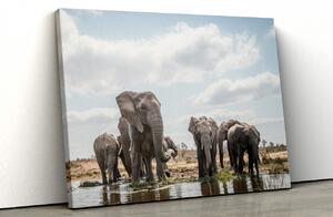 Tablou canvas elefanti