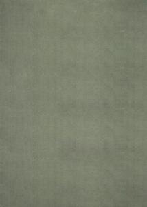 Covor Arabell verde 140/200 cm