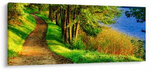 Tablou - poteci pe malul apei (120x50 cm)