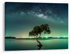 Tablou cu cerul nocturn (70x50 cm)