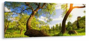 Tablou lunca ne primăvară (120x50 cm)