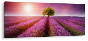 Tablou câmp cu lavandă (120x50 cm)