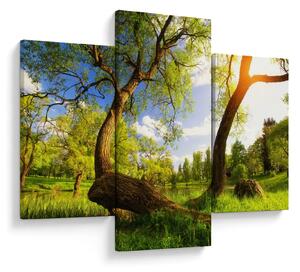 Tablou lunca ne primăvară (90x60 cm)