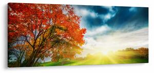 Tablou peisaj cu scufundat în razele solare (120x50 cm)