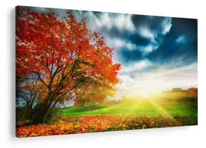 Tablou peisaj cu scufundat în razele solare (90x60 cm)