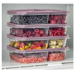 Set 4 caserole plastic , UnicUtil, Stylish Durable, Roz
