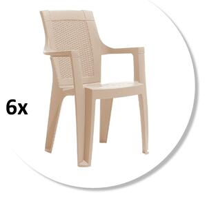 Set 6 scaune gradina ELEGANCE, model ratan, cappucino, 62x57x88 cm