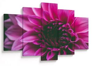 Tablou cu floarea roz (150x105 cm)