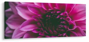 Tablou cu floarea roz (120x50 cm)