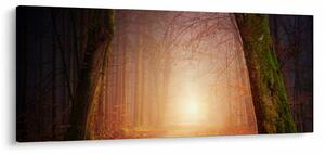 Tablou cu pădurea toamna în ceață (120x50 cm)