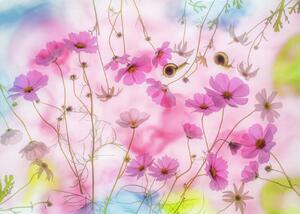 Fotografie Autumn dream, Miharu, (40 x 30 cm)