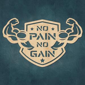 DUBLEZ | Tablou motivațional - No Pain No Gain