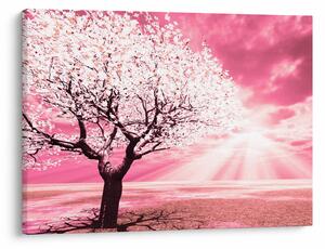 Tabloul cu pomul roz (70x50 cm)