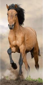 Prosop Horse, 70 x 140 cm